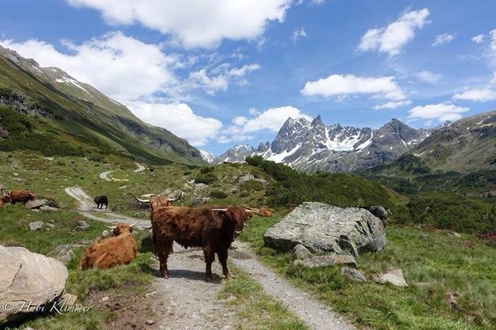 Alexandra Alber Villa Schlosskopf Sankt Anton am Arlberg Buitenkant foto