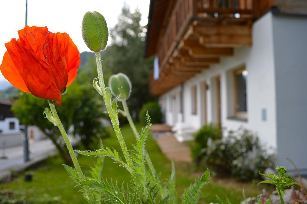 Alexandra Alber Villa Schlosskopf Sankt Anton am Arlberg Kamer foto